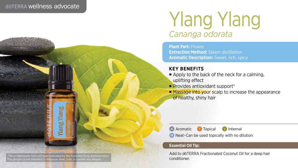 doTERRA Wellness Advocate infographic for Ylang Ylang essential oil, listing its plant part, extraction method, aromatic description, and key benefits