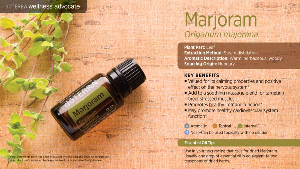 doTERRA Wellness Advocate infographic for Marjoram essential oil, listing its plant part, extraction method, aromatic description, and key benefits