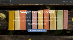 Banner for Jan Berry’s online Soapmaking Success course for natural soapmakers