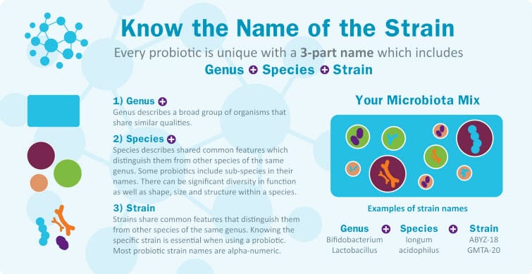 Infographic explaining that every probiotic has a three-part name made of genus, species, and strain