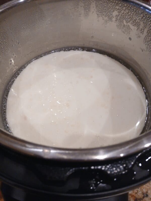 First batch of homemade yogurt cultured with doTERRA PB Assist, setting in the stainless steel inner pot of an Instant Pot