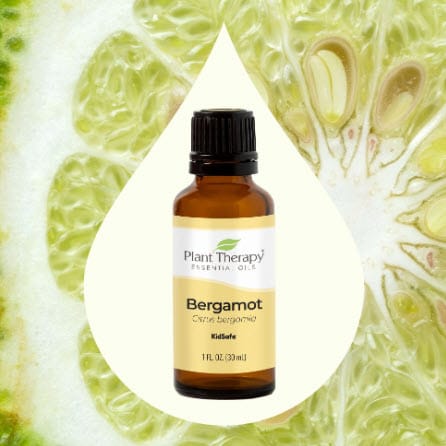 Bergamot Essential Oil from Plant Therapy - 500g - Image 2
