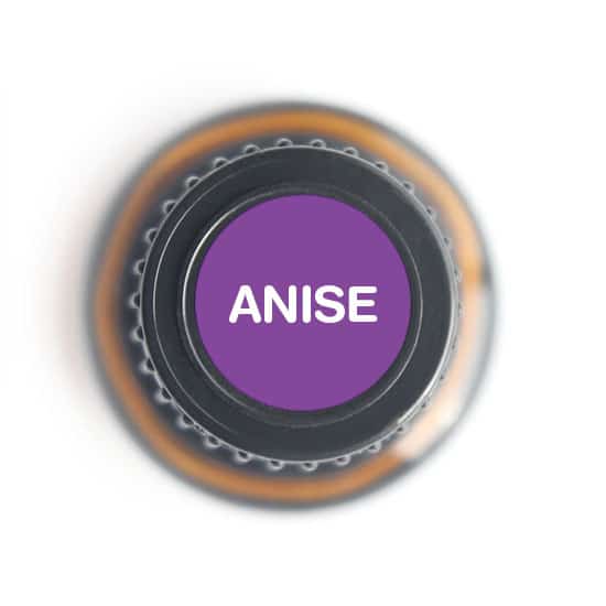 Anise Essential Oil by Nature's Fusions - 15ml - Image 4
