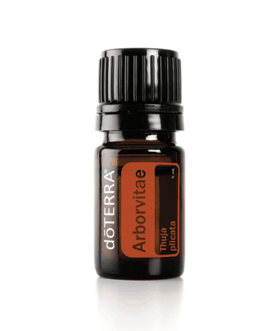 Arborvitae Essential Oil by doTERRA - 5ml