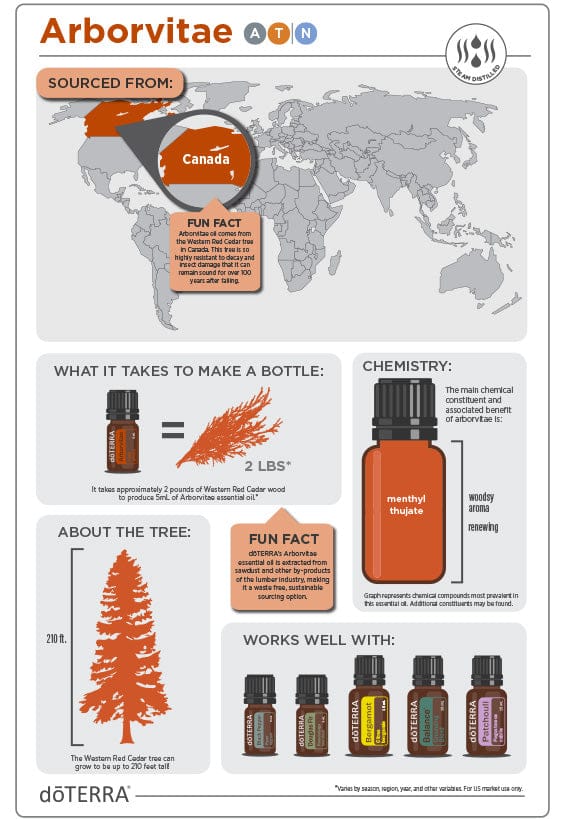 Arborvitae Essential Oil by doTERRA - 5ml - Image 2