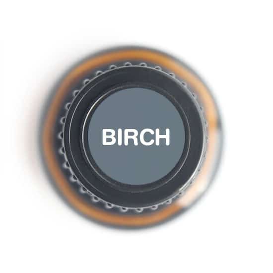 Birch Essential Oil by Nature's Fusions - 15ml - Image 4
