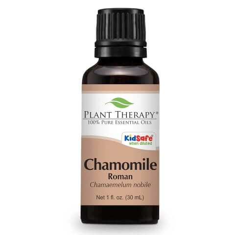 Chamomile Roman Essential Oil by Plant Therapy - 30ml - Image 2