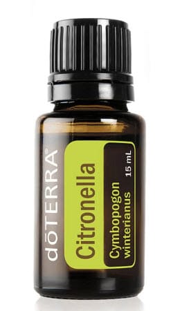 Citronella Bark Essential Oil by doTERRA - 15ml