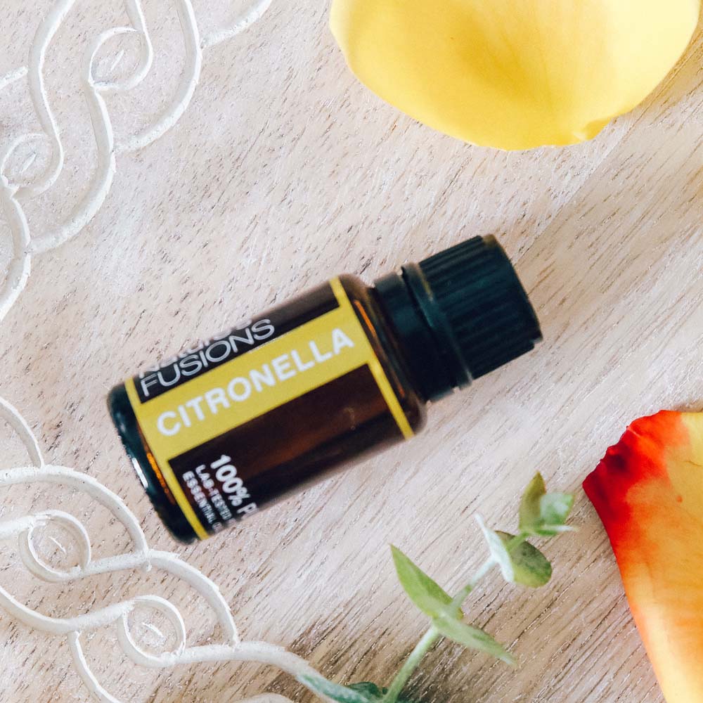 Citronella Essential Oil by Nature's Fusions - 15ml - Image 3