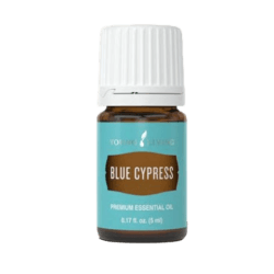 Cypress Blue Essential Oil by Young Living - 5ml