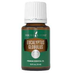 Eucalyptus Globulus Essential Oil by Young Living - 15ml