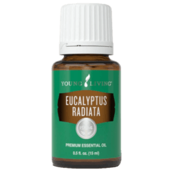 Eucalyptus Radiata Essential Oil by Young Living - 15ml