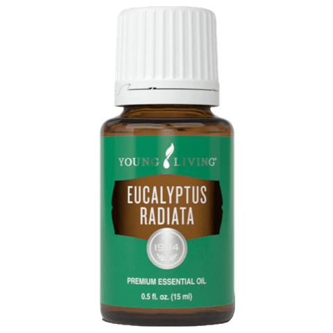 Eucalyptus Radiata Essential Oil by Young Living - 15ml