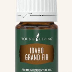 Fir Idaho Grand Essential Oil by Young Living - 5ml