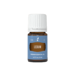 Ledum Essential Oil by Young Living - 5ml