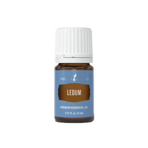 Ledum Essential Oil by Young Living - 5ml