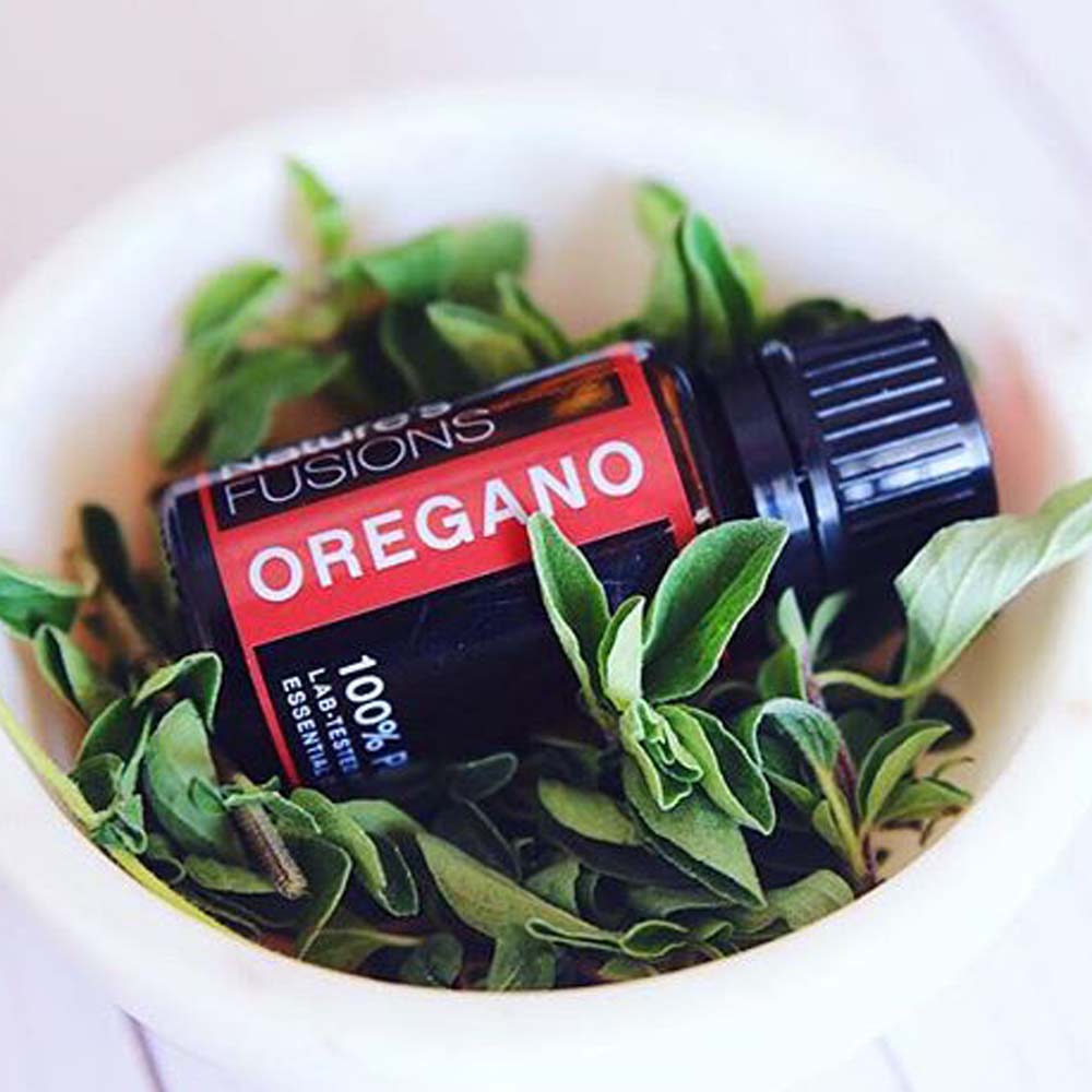 Oregano Essential Oil by Nature's Fusions - 15ml - Image 3