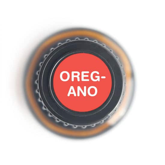 Oregano Essential Oil by Nature's Fusions - 15ml - Image 4