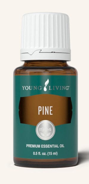 Pine Essential Oil by Young Living - 15ml - Image 2