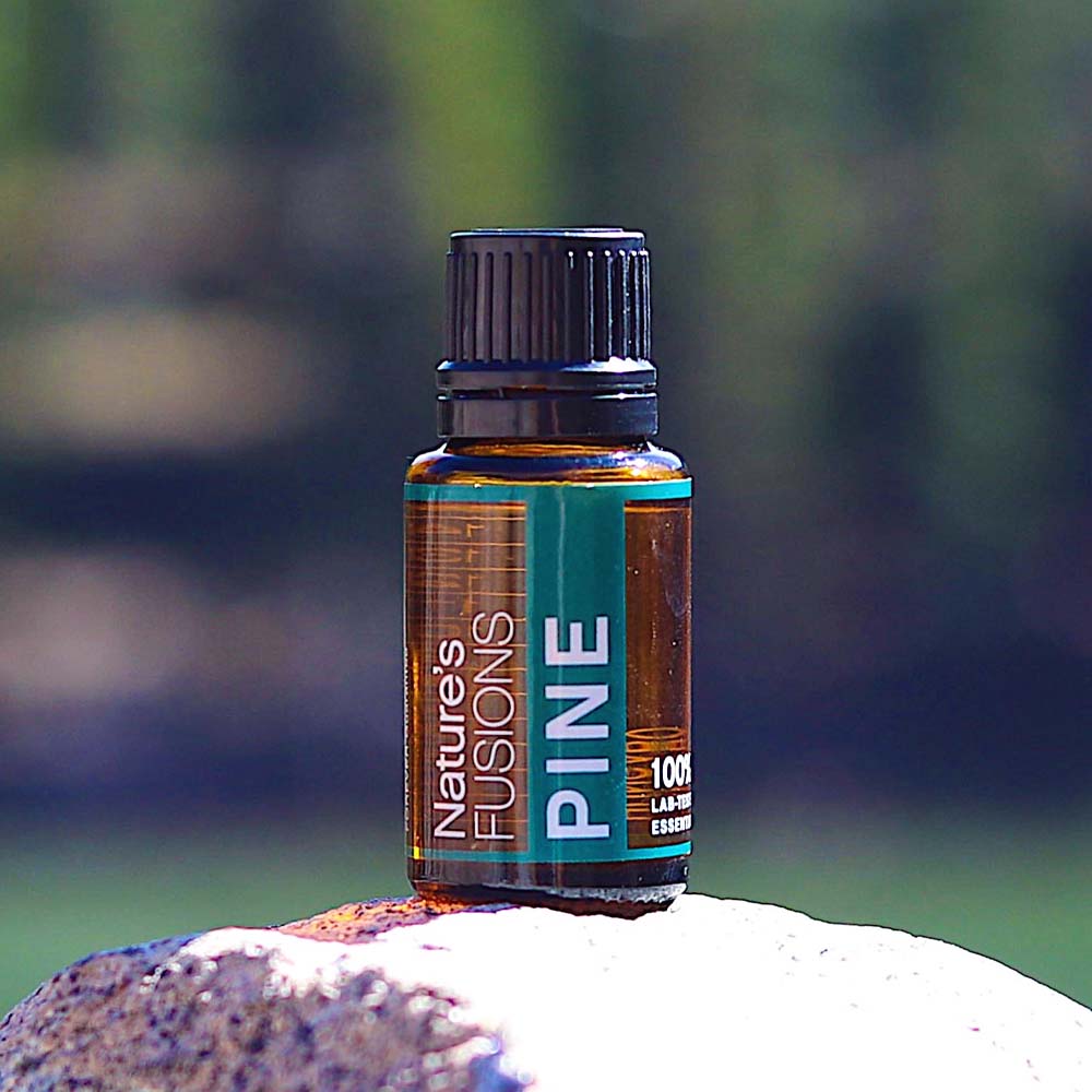 Pine Essential Oil by Nature's Fusions - 15ml - Image 2