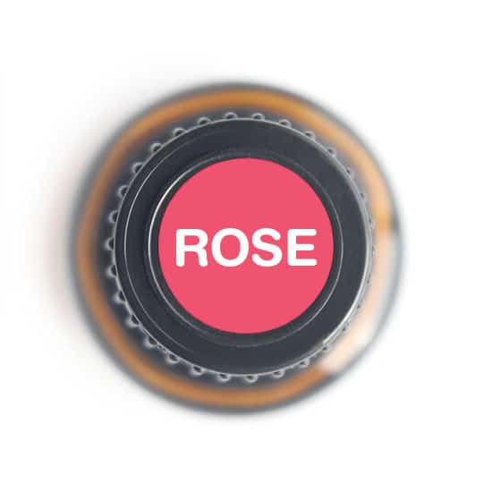 Rose Essential Oil by Nature's Fusions - 5ml - Image 4