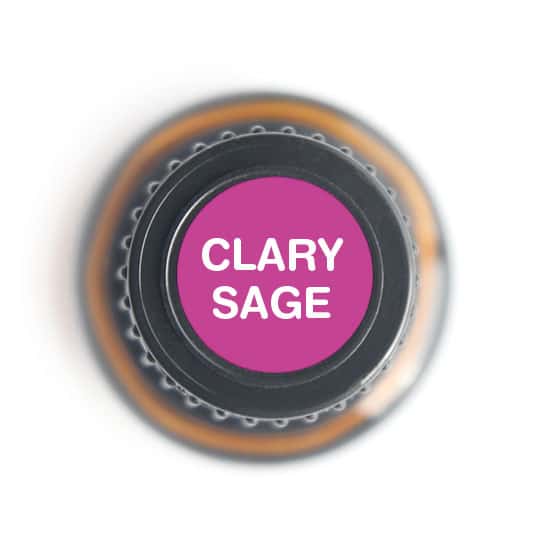 Sage Clary Essential Oil by Nature's Fusions - 15ml - Image 4
