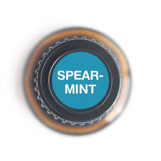 Spearmint Essential Oil by Nature's Fusions - 15ml - Image 4