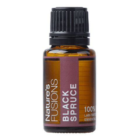 Spruce Black Essential Oil by Nature's Fusions - 15ml