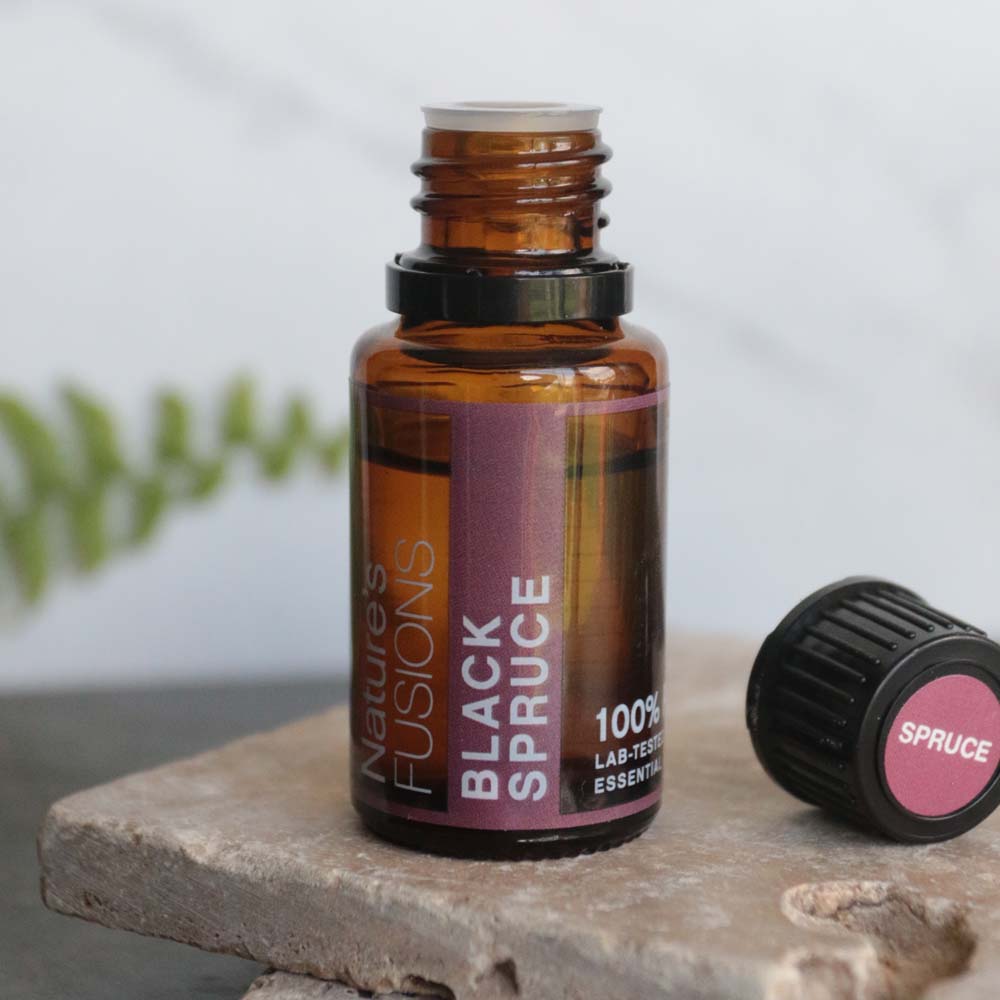 Spruce Black Essential Oil by Nature's Fusions - 15ml - Image 3