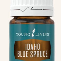Spruce Black Essential Oil by Young Living - 5ml