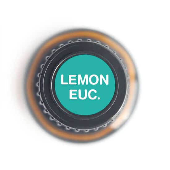 Eucalyptus Lemon Essential Oil by Nature's Fusions - 15ml - Image 5