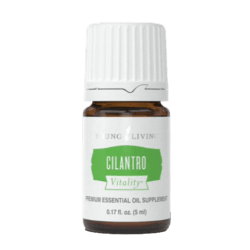 Cilantro Essential Oil by Young Living - 5ml