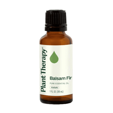 Fir Balsam Essential Oil by Plant Therapy - 10ml - Image 3