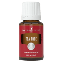 Tea Tree Essential Oil by Young Living - 15ml