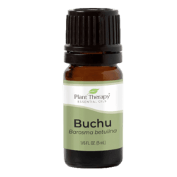Buchu Essential Oil by Plant Therapy - 5ml