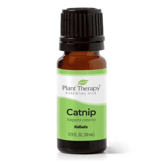 Catnip Essential Oil by Plant Therapy - 10ml - Image 2