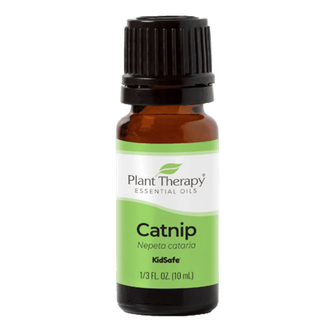 Catnip Essential Oil by Plant Therapy - 10ml