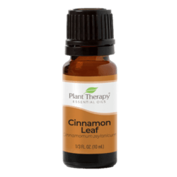 Cinnamon Leaf Essential Oil by Plant Therapy - 10ml