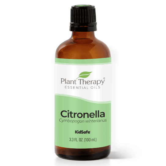 Citronella Essential Oil by Plant Therapy - 100ml - Image 2