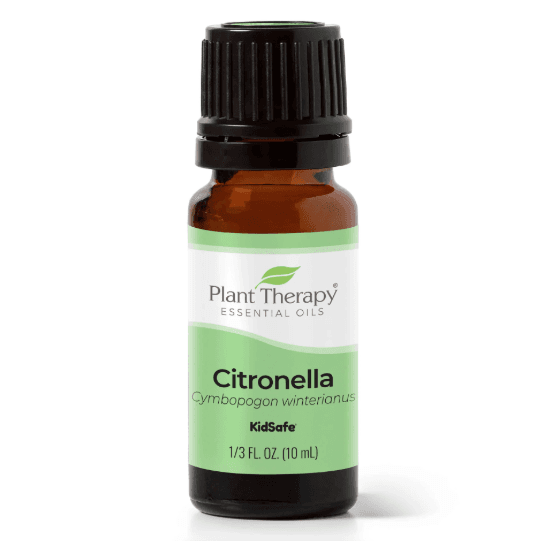 Citronella Essential Oil by Plant Therapy - 10ml - Image 2