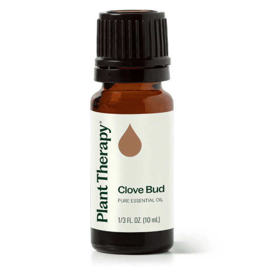 Clove Bud Essential Oil by Plant Therapy - 10ml - Image 2