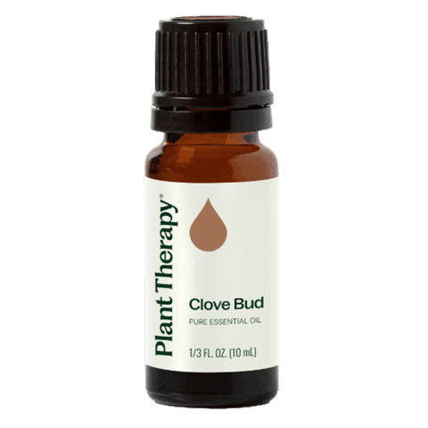 Clove Bud Essential Oil by Plant Therapy - 10ml