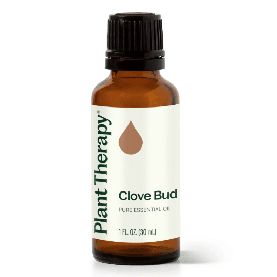 Clove Bud Essential Oil by Plant Therapy - 30ml - Image 2