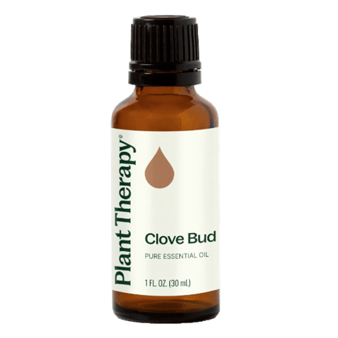 Clove Bud Essential Oil by Plant Therapy - 30ml