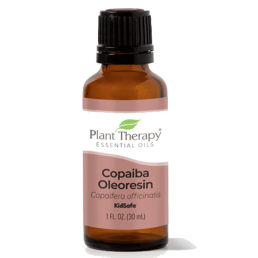 Copaiba Oleoresin Essential Oil by Plant Therapy - 30ml - Image 2
