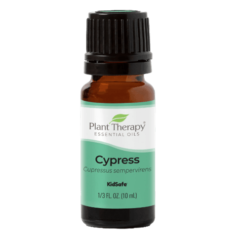 Cypress Essential Oil by Plant Therapy - 10ml