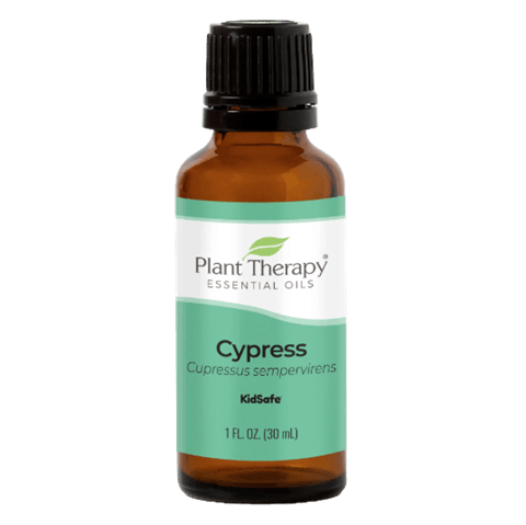 Cypress Essential Oil by Plant Therapy - 30ml
