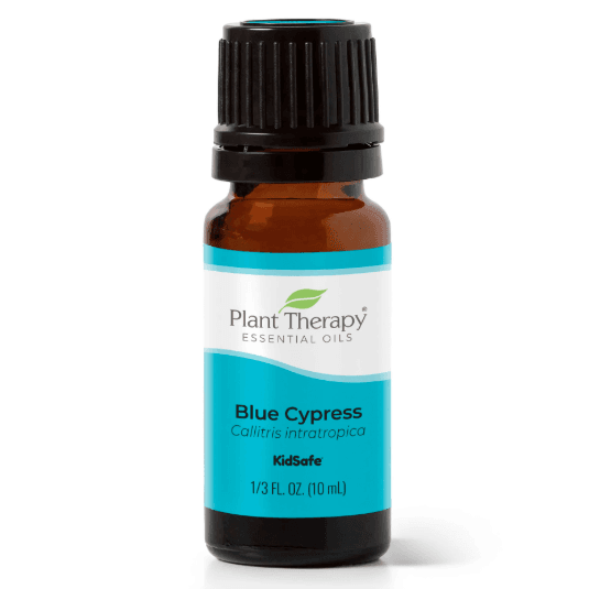 Cypress Blue Essential Oil by Plant Therapy - 10ml - Image 2