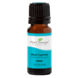 Cypress Blue Essential Oil by Plant Therapy - 10ml
