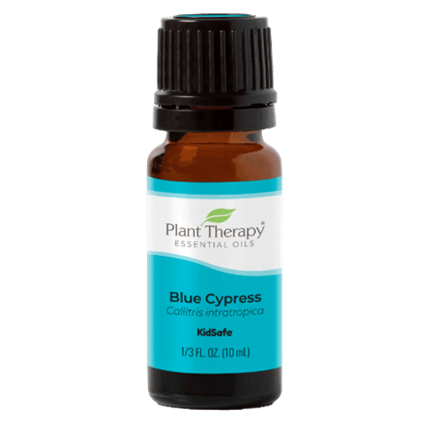 Cypress Blue Essential Oil by Plant Therapy - 10ml